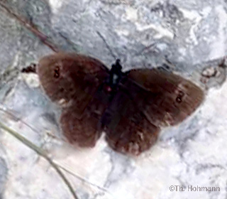 Schornsteinfeger am Gardasee