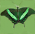Papilio-palinurus