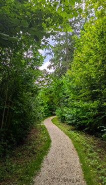 Wanderweg bei Ramsau