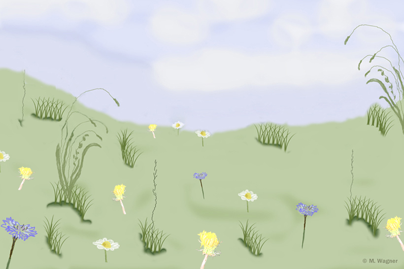 Blumenwiese-Zeichnung